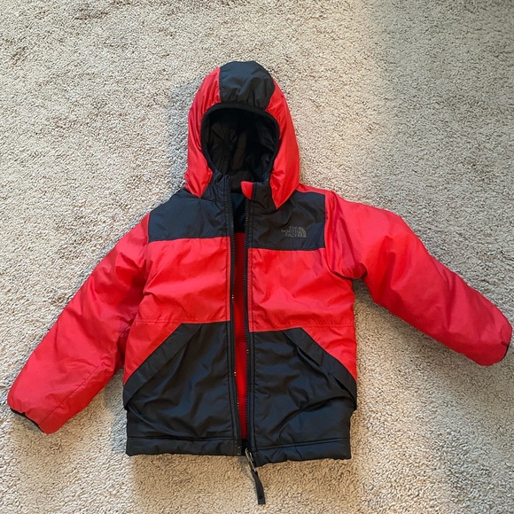 The North Face Other - North face winter coat
